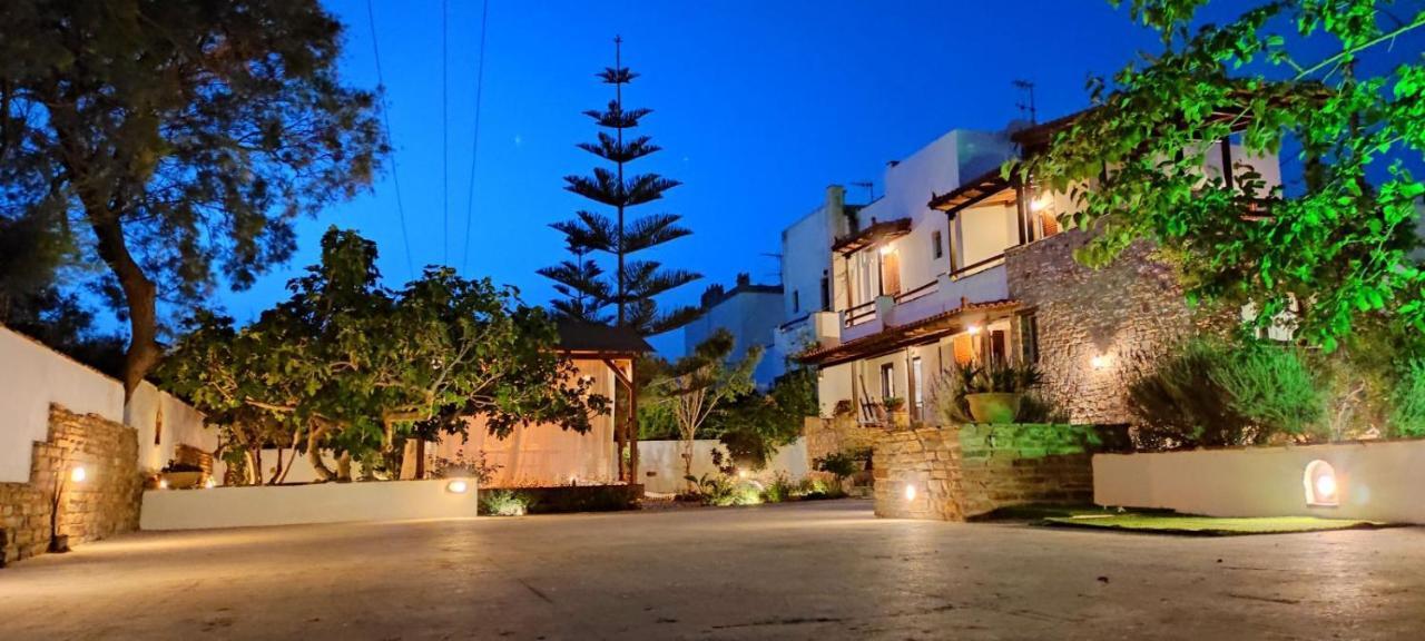 Naxos Chora Villa "Vaporias" With Amazing Garden Naxos City Exterior foto