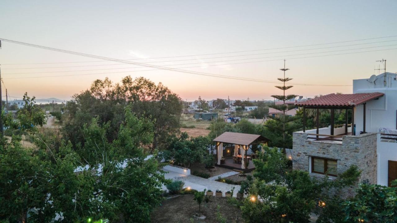 Naxos Chora Villa "Vaporias" With Amazing Garden Naxos City Exterior foto
