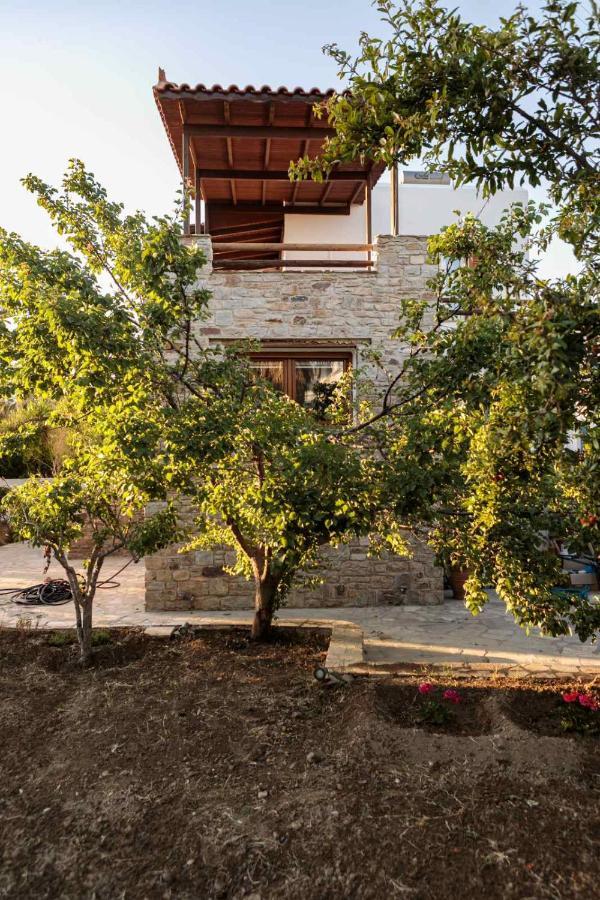 Naxos Chora Villa "Vaporias" With Amazing Garden Naxos City Exterior foto